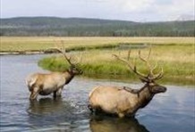 Grand Teton National Park